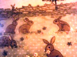 12814572_222384714775705_6469608502351904297_n