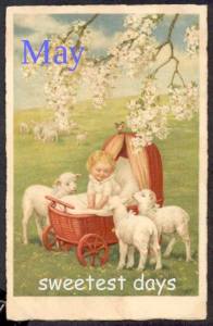 13151470_257300141284162_5232395577110047073_n