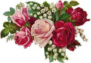 072a76701b0a607cacc17cc99f10a151