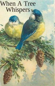 13529089_284759555204887_4970333561560766100_n