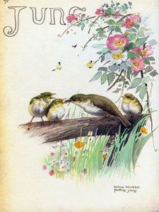 2eb7772fb33263034c7badbe6e170a3a