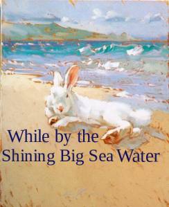 13567339_287996361547873_4825328551524548931_n