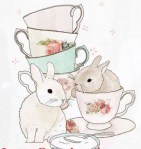 13592377_289160938098082_7027691855011016129_n