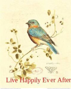 13592593_288633581484151_6965401858111389673_n