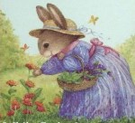 13654179_290069538007222_5120785084256495408_n