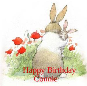 13690831_293960877618088_842960022908427039_n