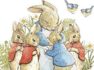 13872967_301336053547237_2130134113970904877_n