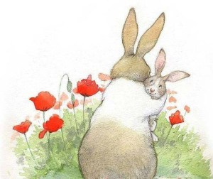 13895268_299531330394376_3979181968724719654_n