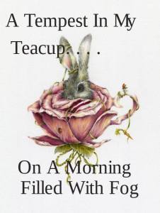 14203132_315259738821535_3730738189658487733_n