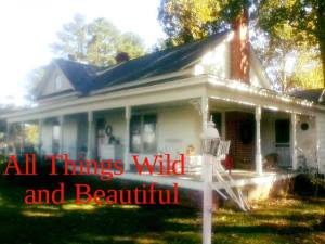 14238298_321141968233312_7897271316810499030_n