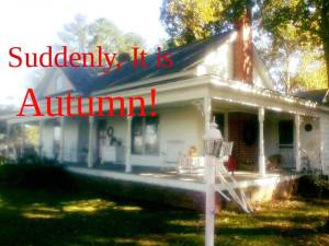 14370085_326914930989349_2702532314621812856_n