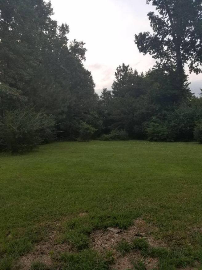 20598030_1645441575480804_1739615321_o