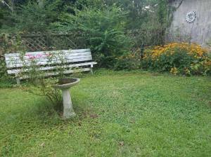 20616426_1645441592147469_1174499278_o