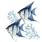 7a11c5a4e0e8fd691a7e8fb8d1bb7efe