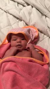 42386882_269222573717564_3546619972530733056_n