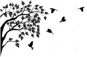 643220c9b74294a00e6b063dba4384f2