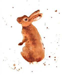 5c7f2fbd360172b03ae1fc469c535e71