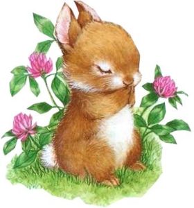 05b4c05c946d7d27edcc2525c75f2c44