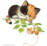 0eccf1079437ecd4427207b3385505a8