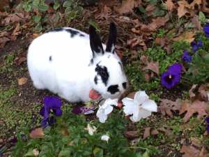 86490591_10220970167032963_8976015344040673280_n