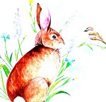 2c1d546b9a0b320dab261dacd366f8b7