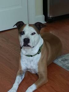 1040666_615424458482526_556671209_o